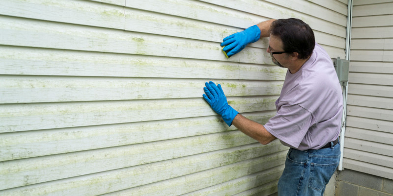 Vinyl Siding Contractors